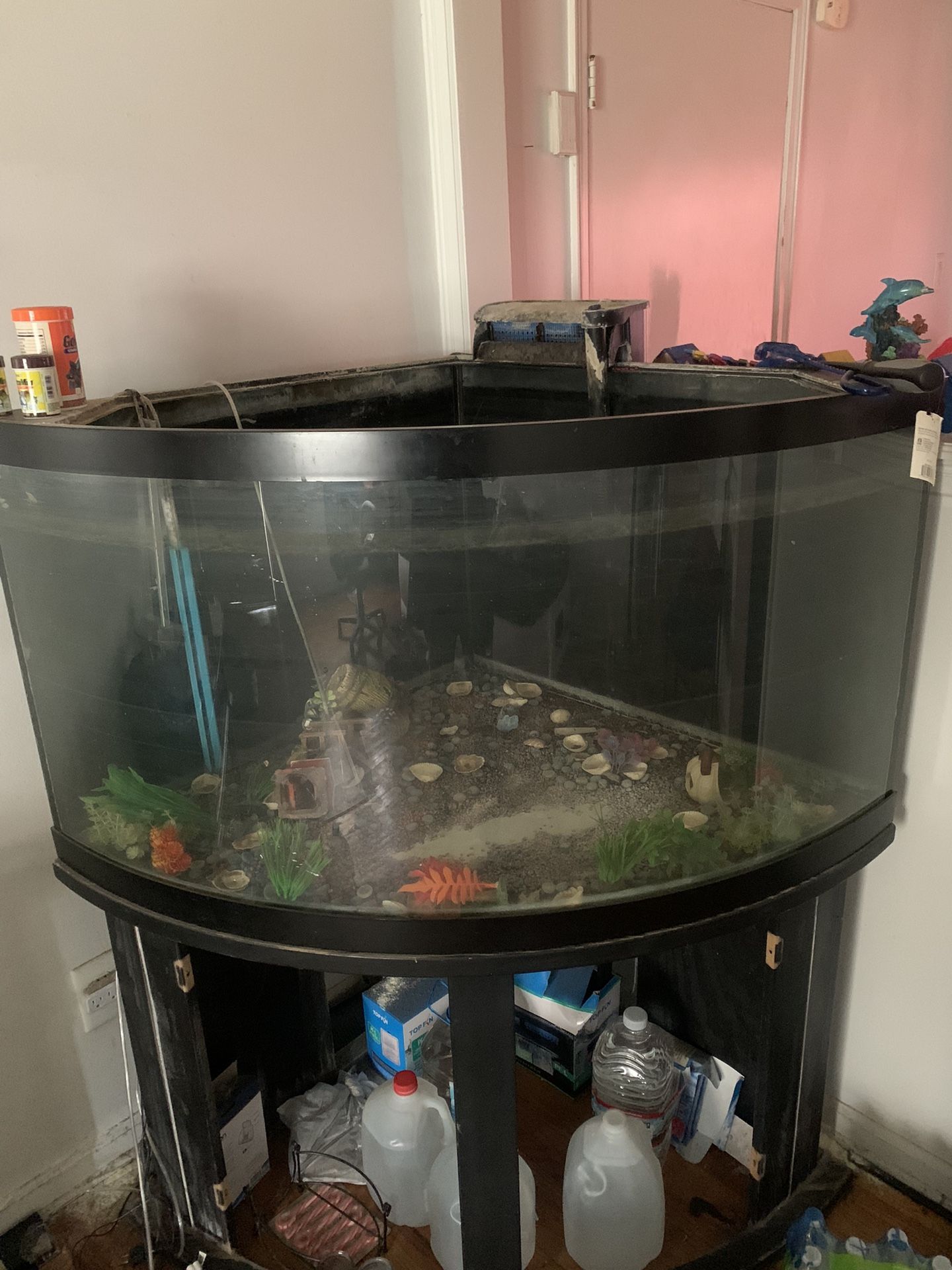 55 Gallon Fish tank With A Stand And Pumps for It 