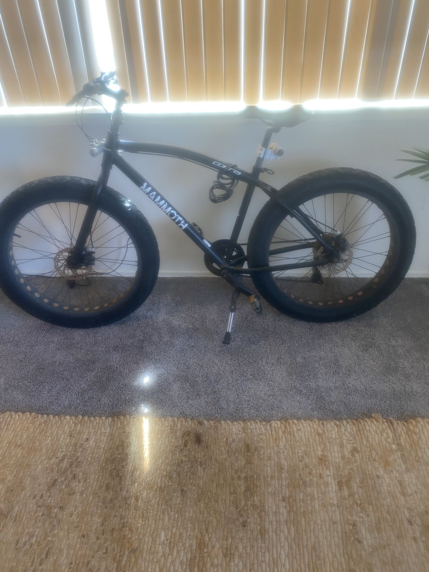 Cruiser Bike with gears