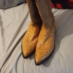 Ostrich Boots Like New Size 10 1/2