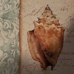 Sea shelf Frames 12x12