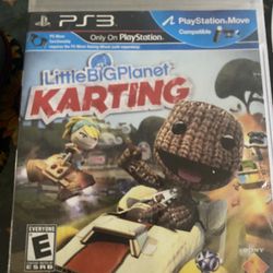little big planet