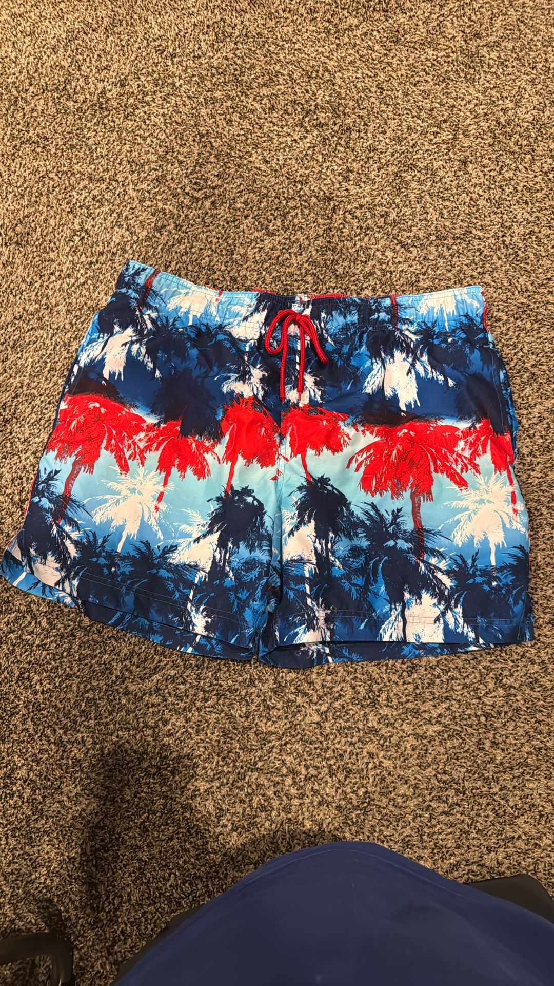 Man’s Swim Trunks