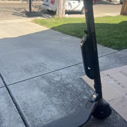 Segway Electric Scooter