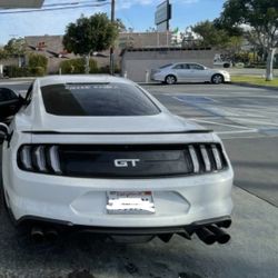 Mustang Tail Ligjt