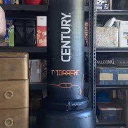 Century  Punching Bag