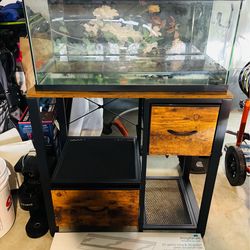 20 Gallon Long Tank and Stand