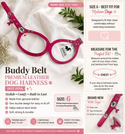 Buddy Belt Leather Dog Harness Size 6