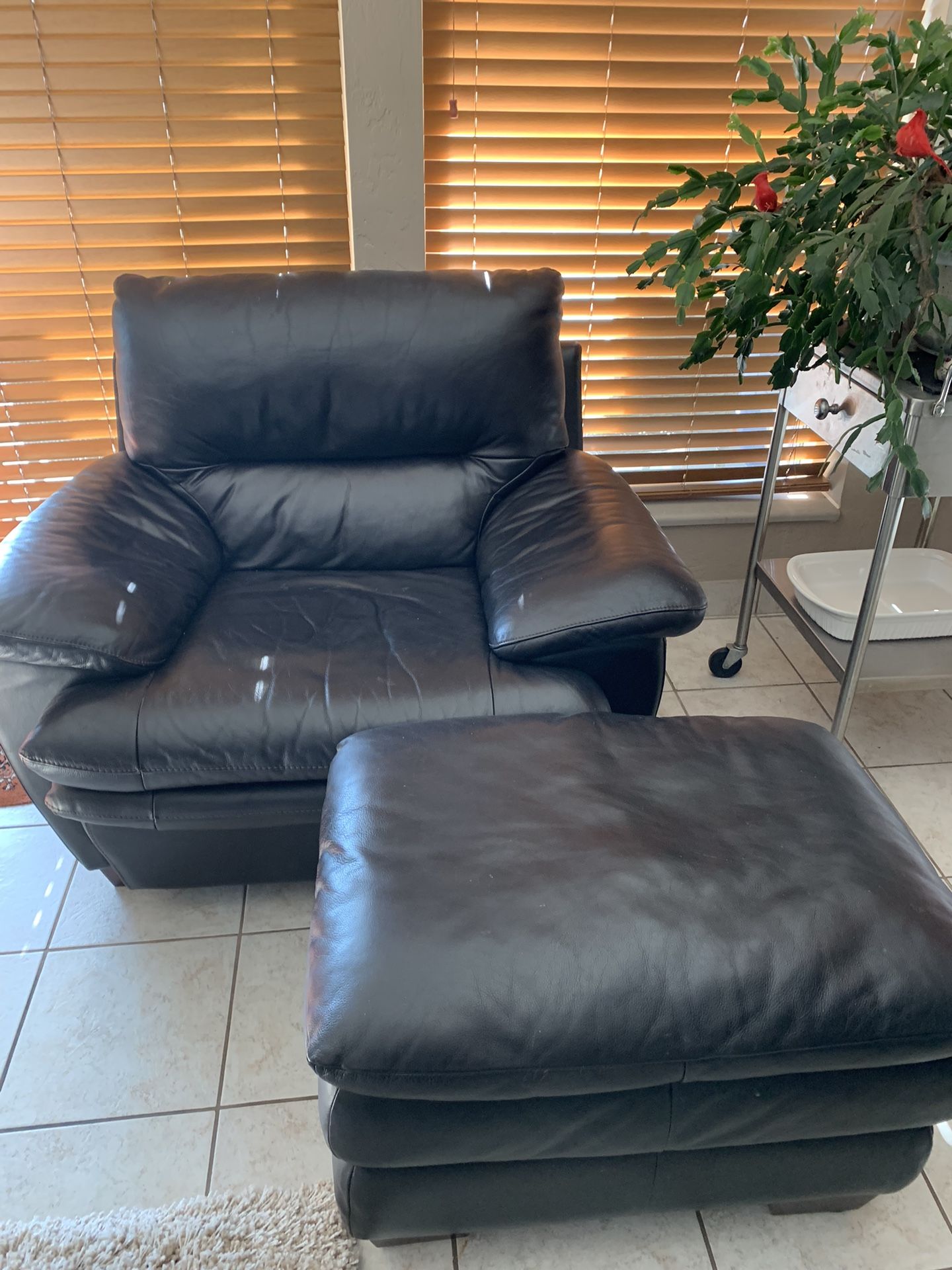 Dania Leather Chair And Ottoman