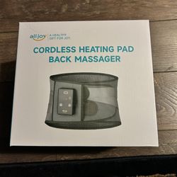 All Joy Back Massager