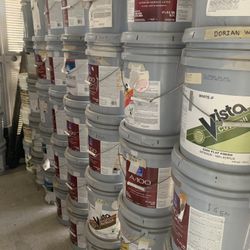 Paint Pinturas Perronas, Casas House Paint, Interior Flat Paint, Interior/exterior Pretinted