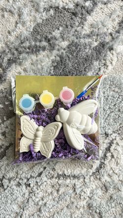 🎨 Paint Your Own Butterfly & Bee Craft Kit 🦋🐝