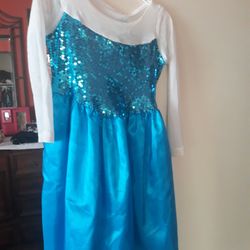 Elsa Costume Dress Size 10