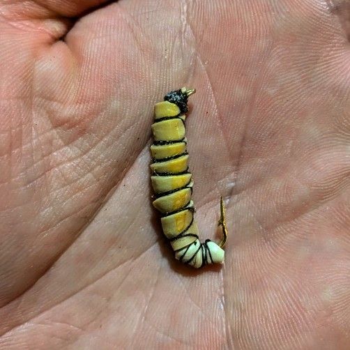 Hand Tied Meal/Wax Worm Fly