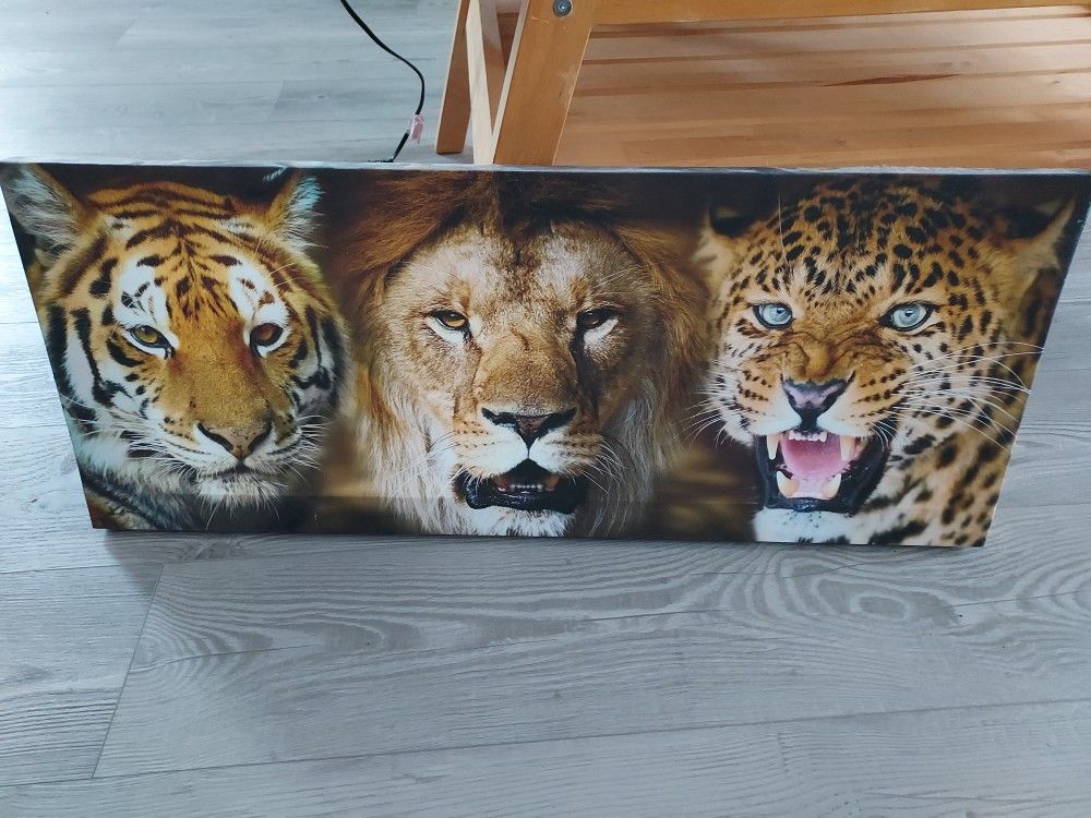 Animal Canvas Picture