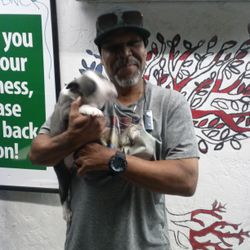 PlayStation 4max Pro