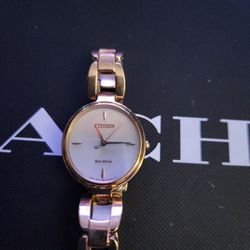 Citizen Eco-drive Women's Watch 