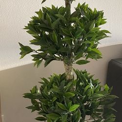 Artificial Plant 5 FT Tall With Tall Planter And Wood Stand