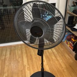 Fan