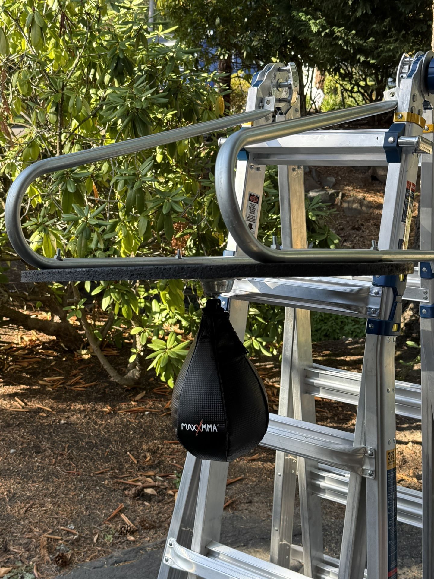 Boxing Speed Bag