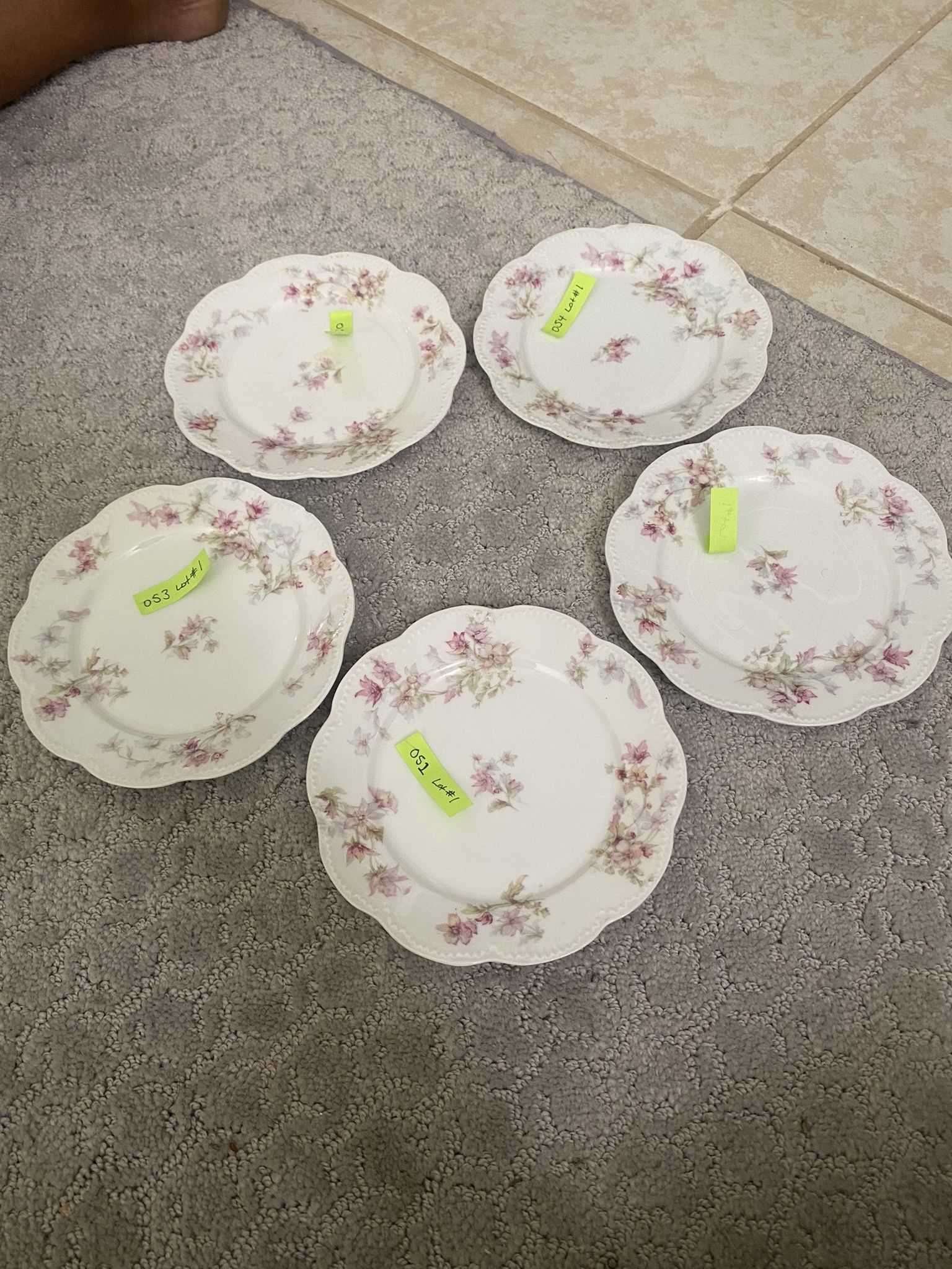 Antique Haviland Limoges France Set 