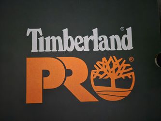 Timberland Pro Endurance 6" Steeltoe  Boot