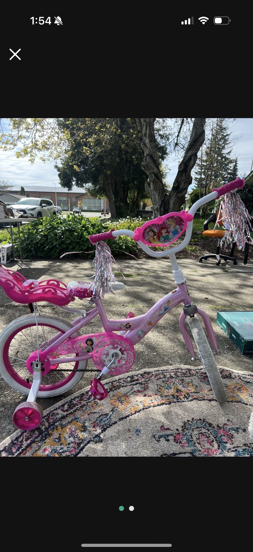 Princess Bike