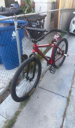 Throne 29er