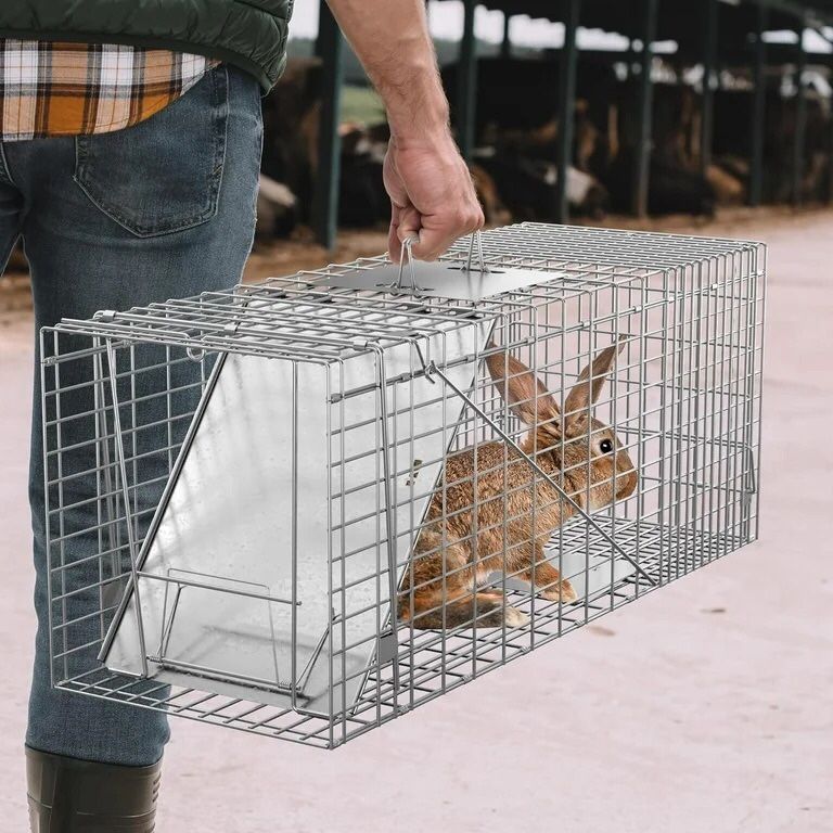 Live Animal Cage Trap 32" X 12.5" X 12" w/Iron Door Steel Cage Catch Release Humane Rodent Cage for Rabbits, Stray Cat, Squirrel, Raccoon, Mole, Gophe