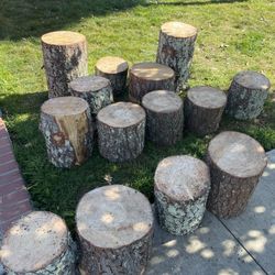 Wood Stumps 