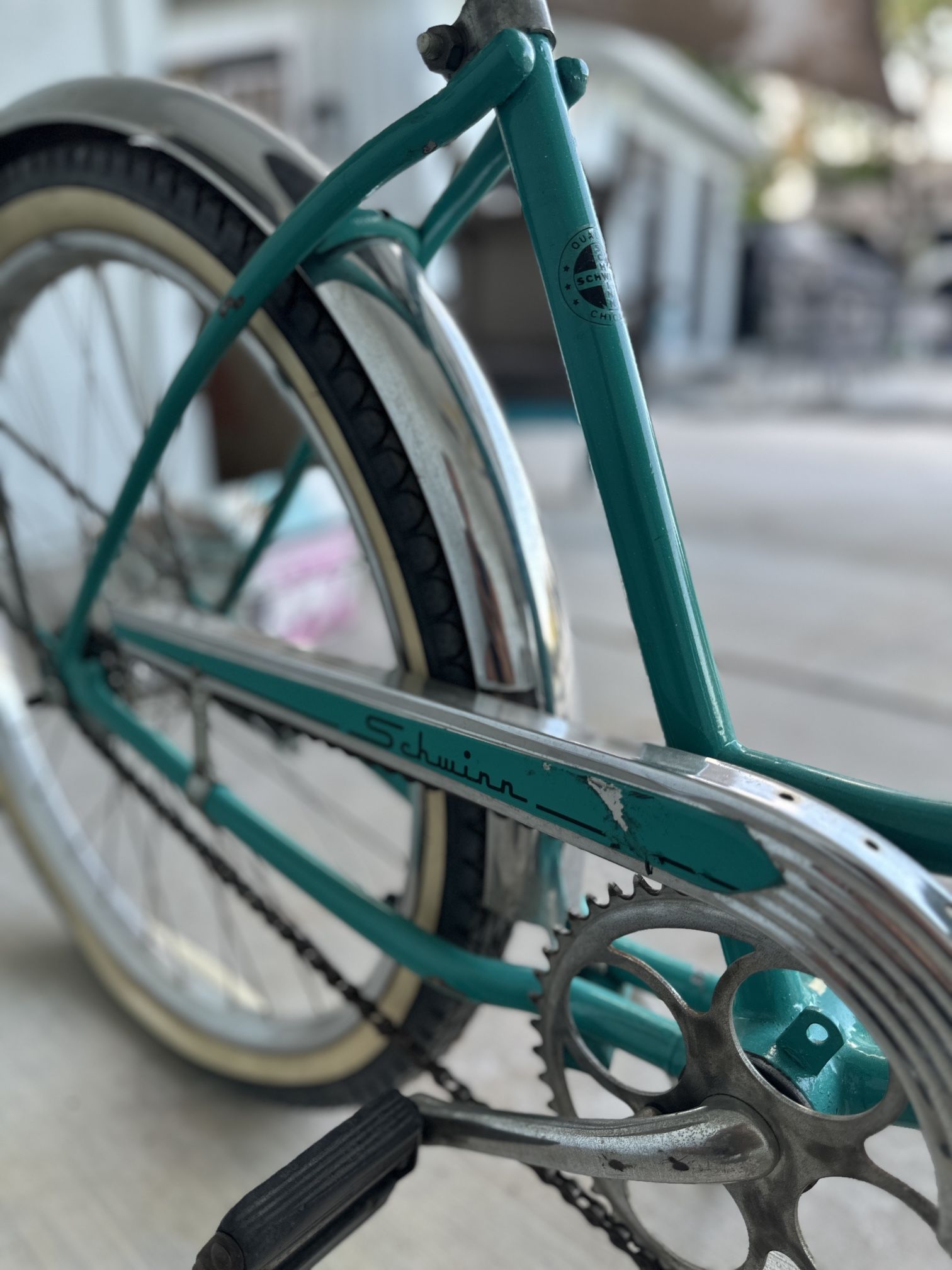 Schwinn Crusiers - FREE