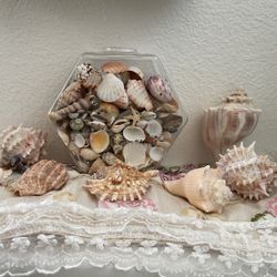 Wall Decoration 