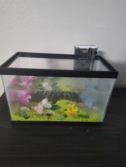 Fish Tanks