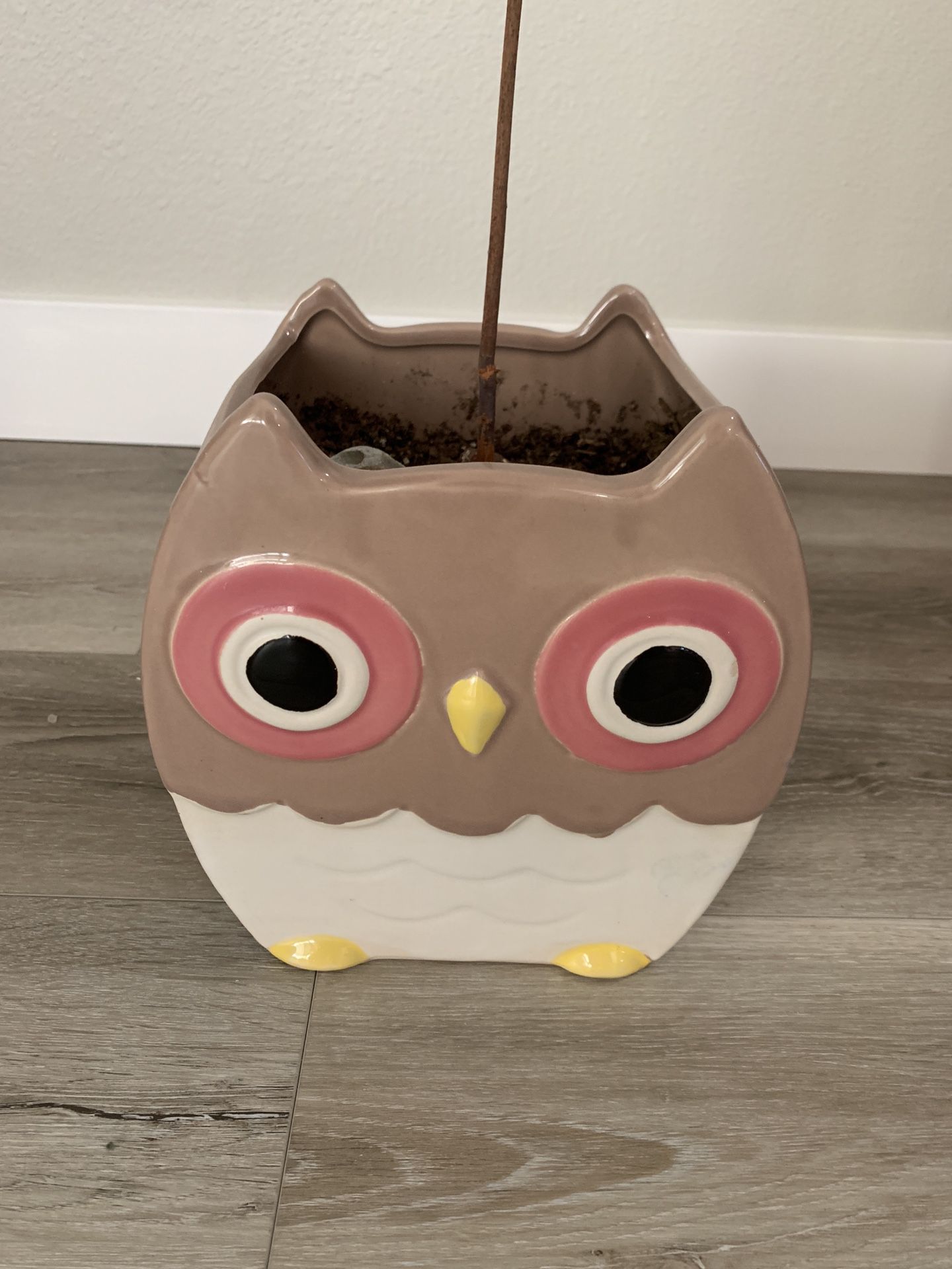 Owl Pot
