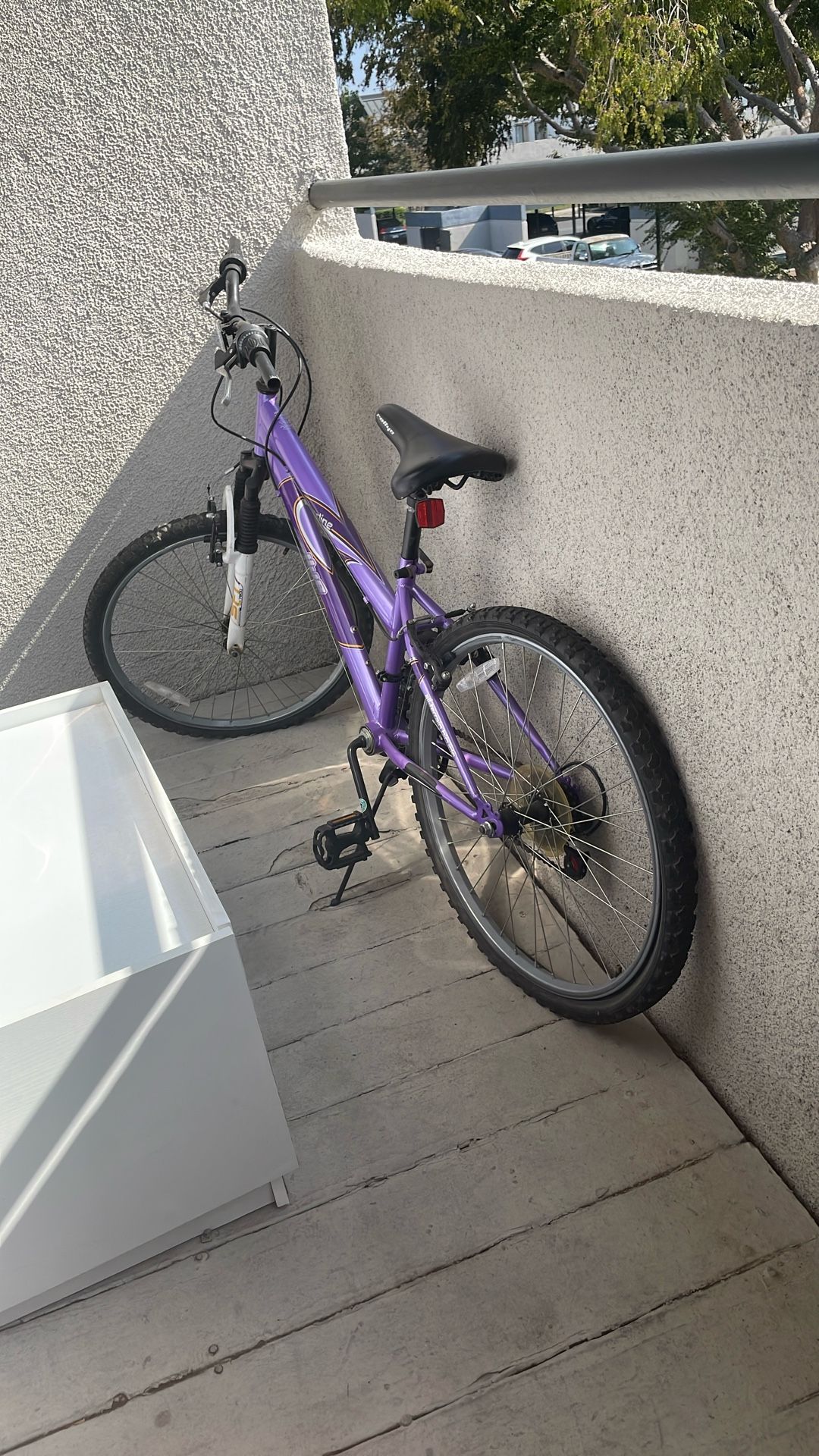 Bike Needs New Tubes