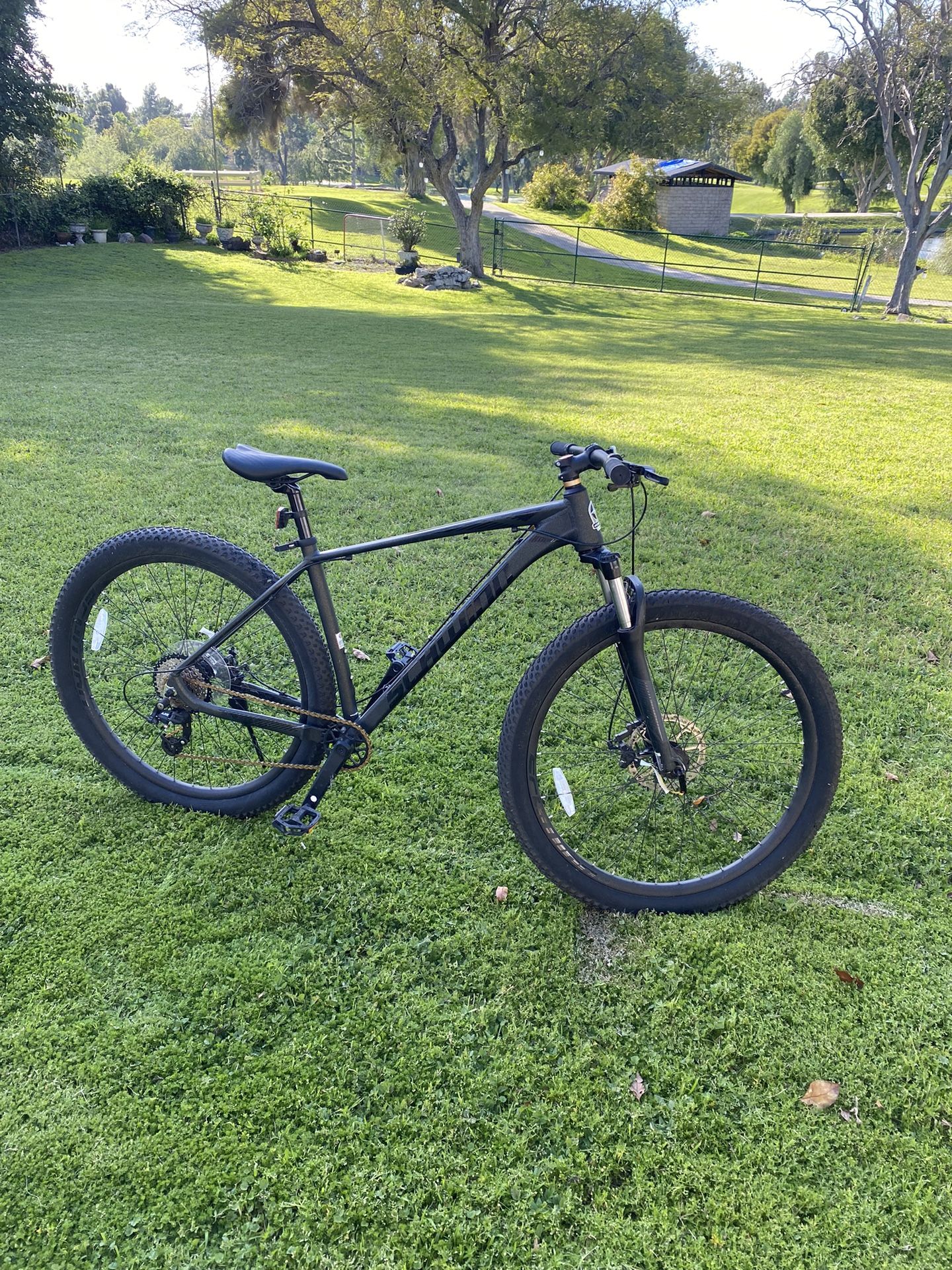 Schwinn 29 inch axum mountain online bike with standard seatpost s4136wmds stores