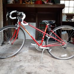 Schwinn Traveler. $100. OBO.