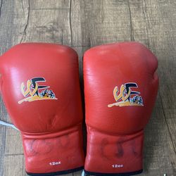 WF Boxing Gloves 