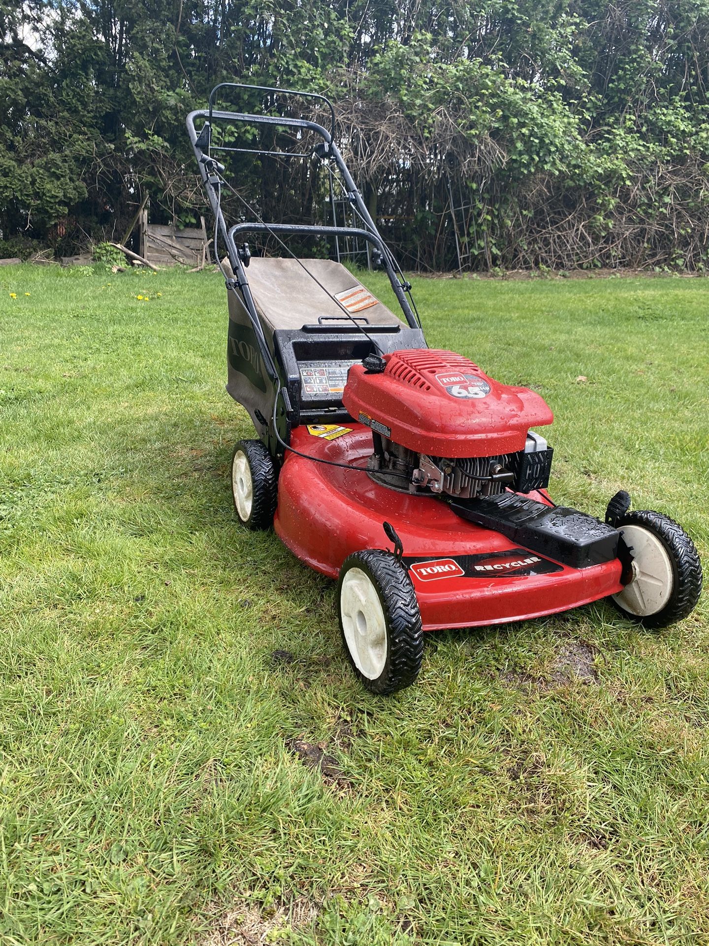 Toro Self Propelled Lawn Mower