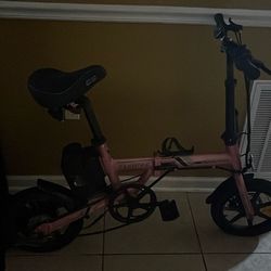 Ecotric electric bike, swallow,14inch 20mph