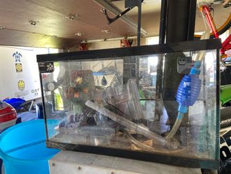 Fish tank comes with light water pump everything u need