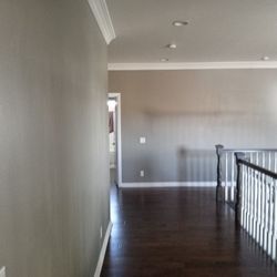 Interior Painting 