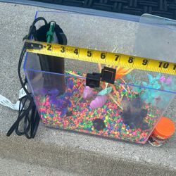 Fish Tank 