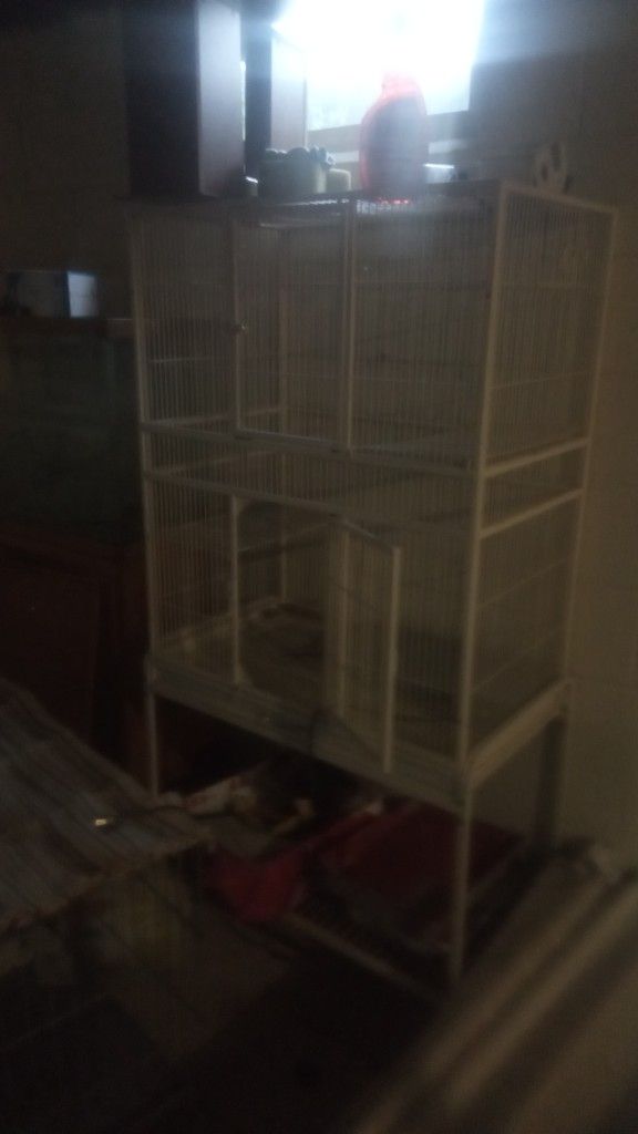 Cage Large