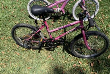 Boy and Girl Bike $20 each