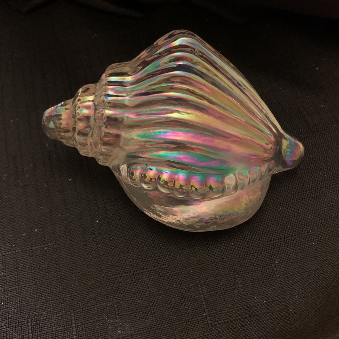 Iridescent seashell Paperweight
