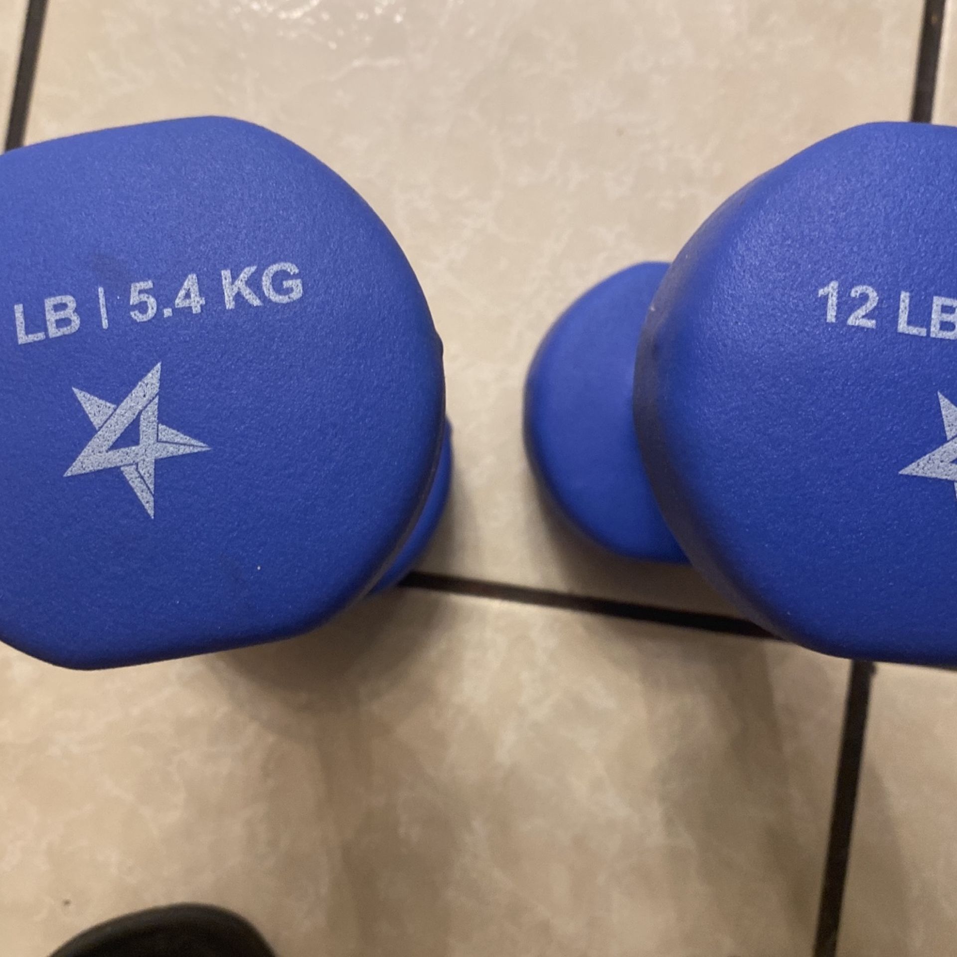 12 Lb Weights