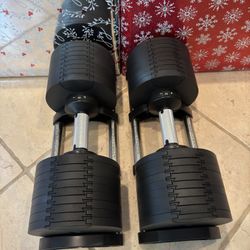 Dumbbells 80Ibs | Home Gym