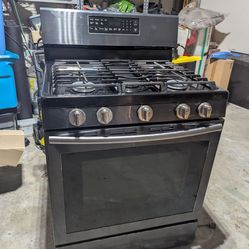 Samsung Gas Range