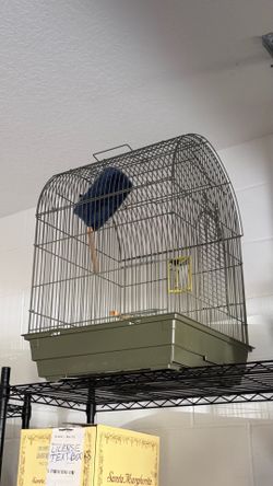 Birds cage