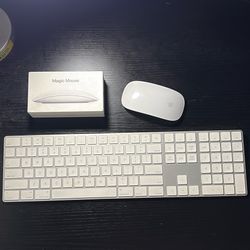Apple Keyboard + Magic Mouse 